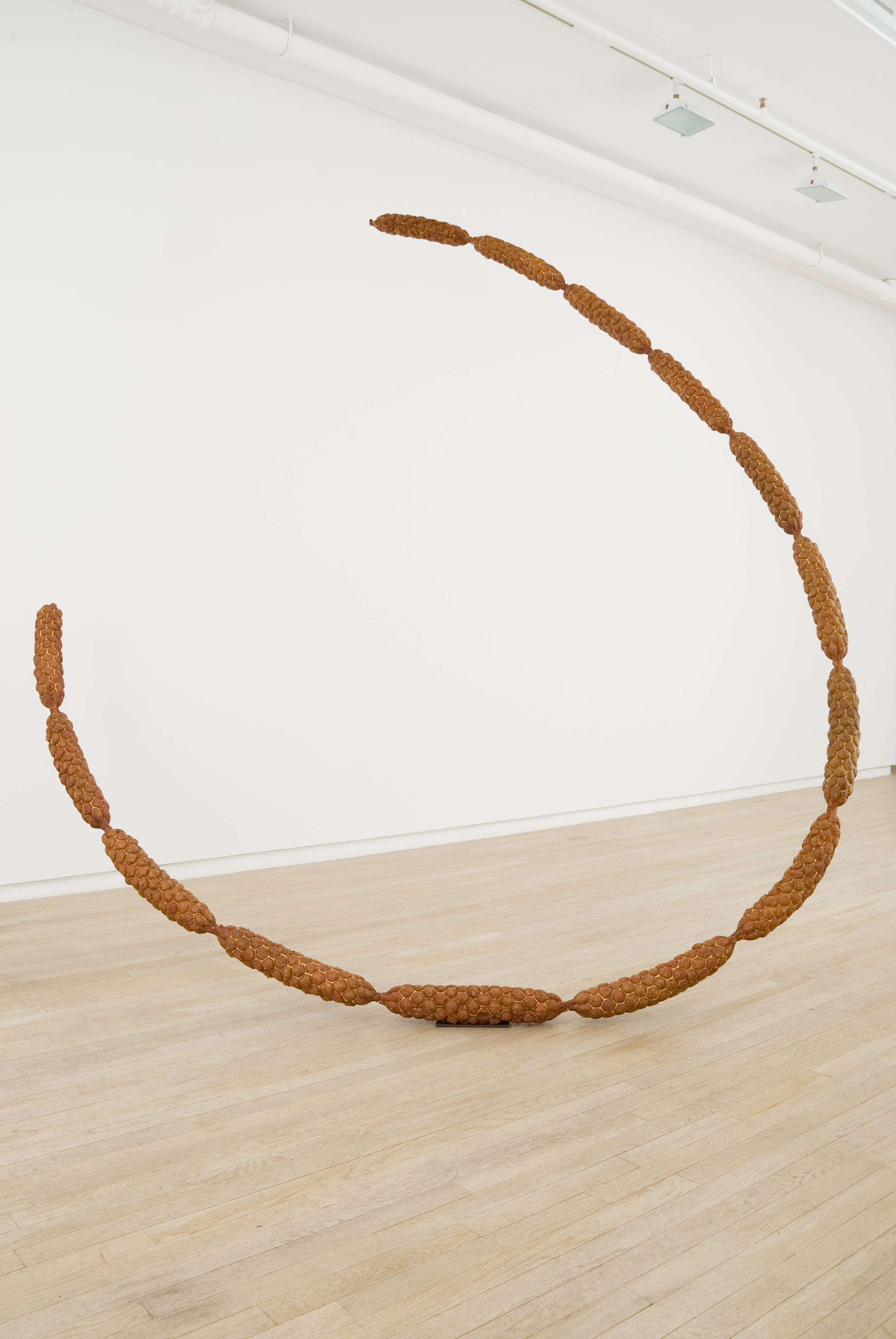 Not Simply Connected - Image 5